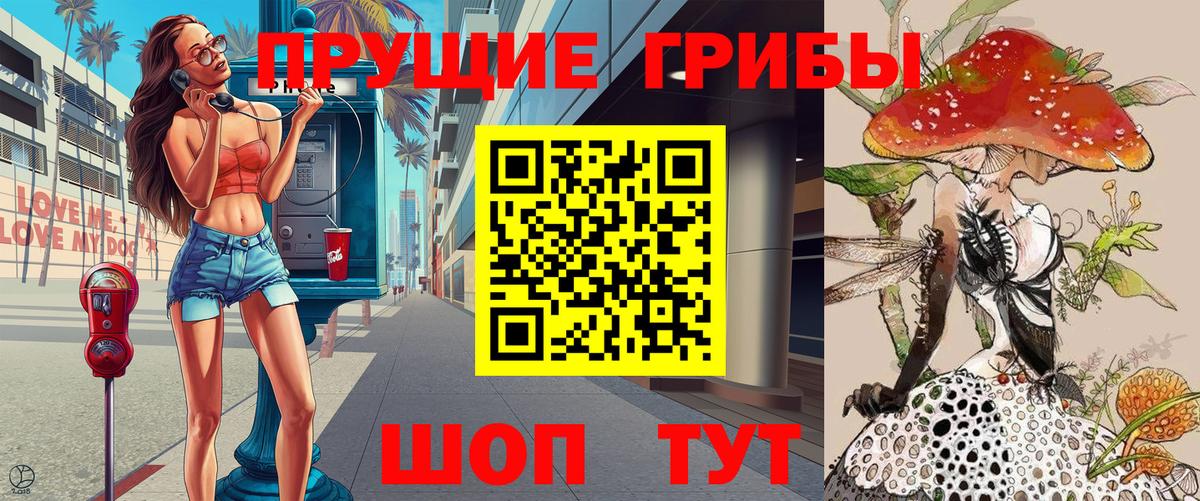 Галлюциногенные грибы Psilocybine cubensis Краснокамск
